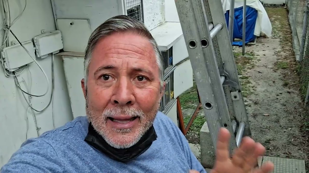 POR EL BENEFICIO DE LA COLOMBICULTURA.PALOMEANDO EN SENTIDO GENERAL.A todos los palomeros.✊️🧐👉🕊🕊🕊🎥🎥🎥