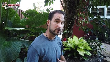 How to Install Landscape Lighting - Demo Your Landscape Lighting