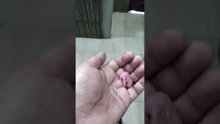 Siapa Tau Ni Ape Benda Jumpe Kat Dapur