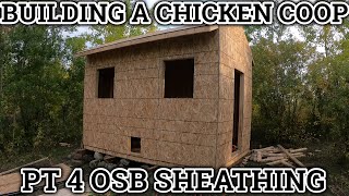 osb coop chicken walls exterior