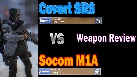 Covert SRS vs Socom M1A The Division