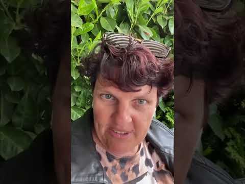 Healy Experience Neurodermatitis