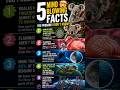 😱 5 Crazy Facts That Will Blow Your Mind! | Fact Verse yt20