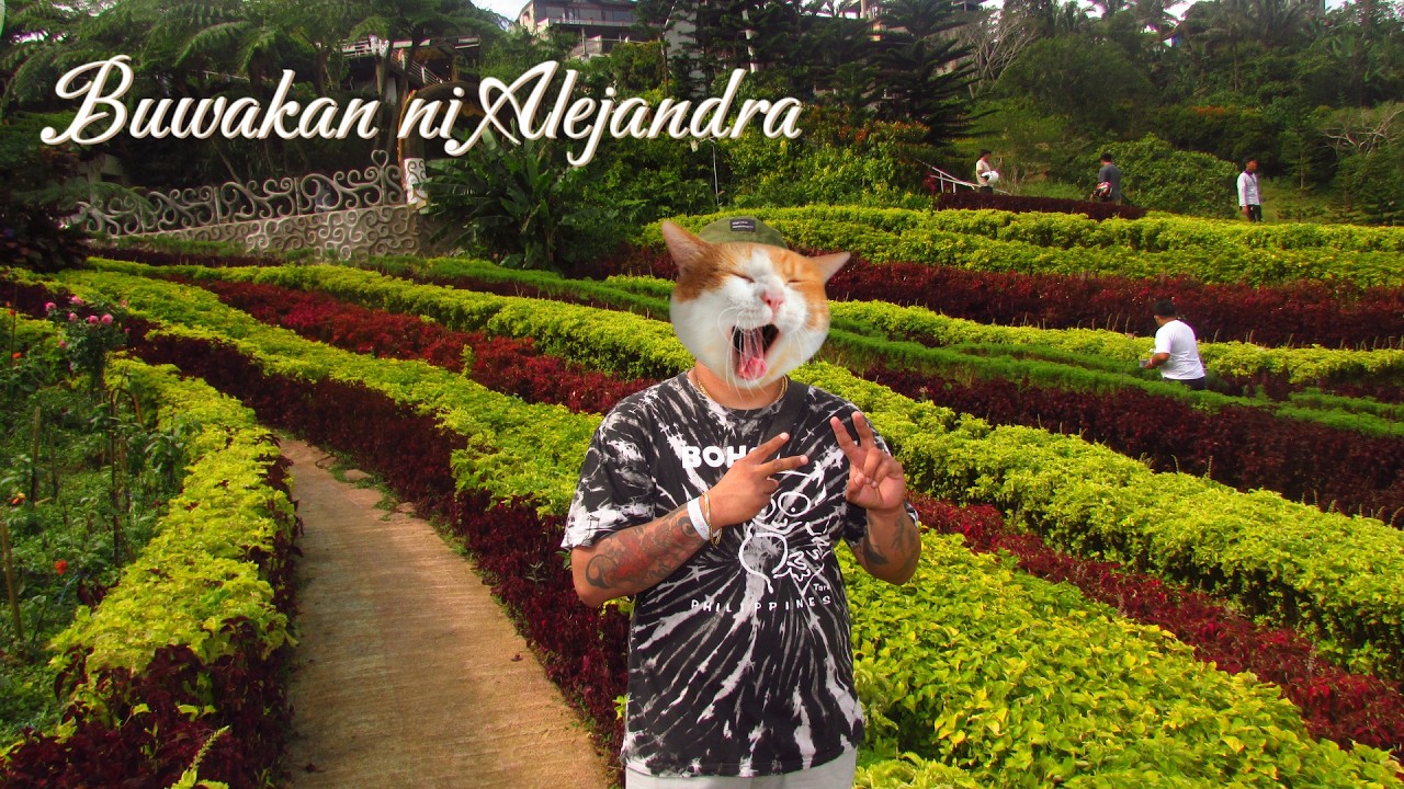 Buwakan ni Alejandra