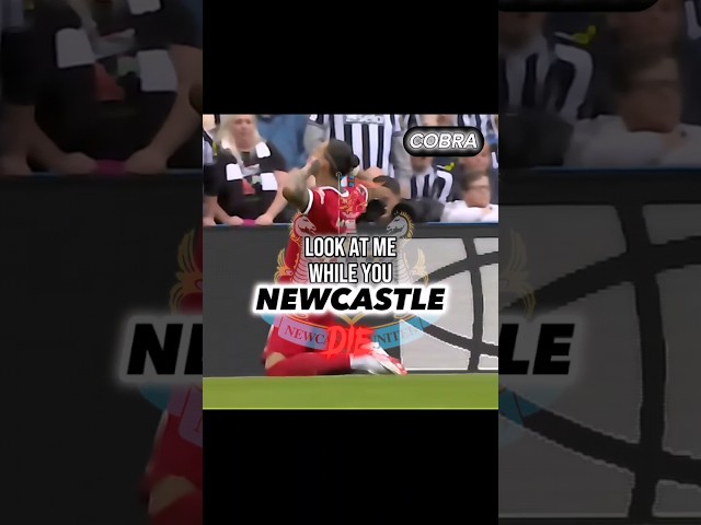 Nunez owns Newcastle #shortsfeed #liverpoolfc #viral #núñez #cool #football #premierleague class=