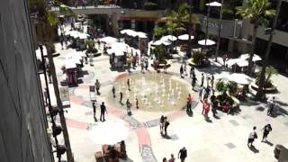 Hollywood Hill Vision.mp4