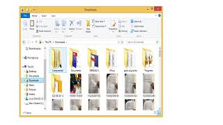 Tutorial CARA PEMASANGAN MOD BUG PB GARENA