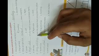 class 2 Computer chapter more with mouse questions and answers