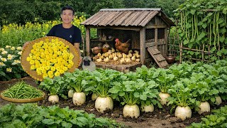 CEO Quit The The City: Harvests Vegetables To Cook And Sell, Builds A Coop To Raise 100 Chickens