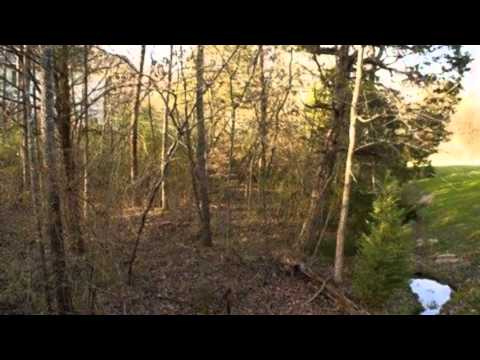 220 Elohi Way, Loudon, TN home video tour