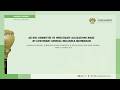 Ad Hoc Committee To Investigate Allegations Made By Lieutenant General Mkhwanazi 11 March 2026