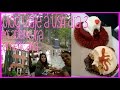Vlog a USA día 3 | Conociendo a Leti de MyCrazyMakeup | Silvia Quiros