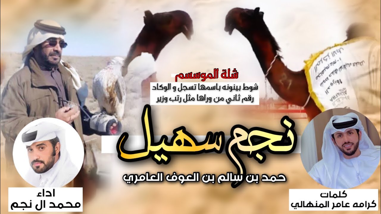 شلة ||🏆 نجم سهيل ⭐️|| حمد بن العوف العامري || كلمات كرامه بن عامر المنهالي || اداء محمد ال نجم 2024