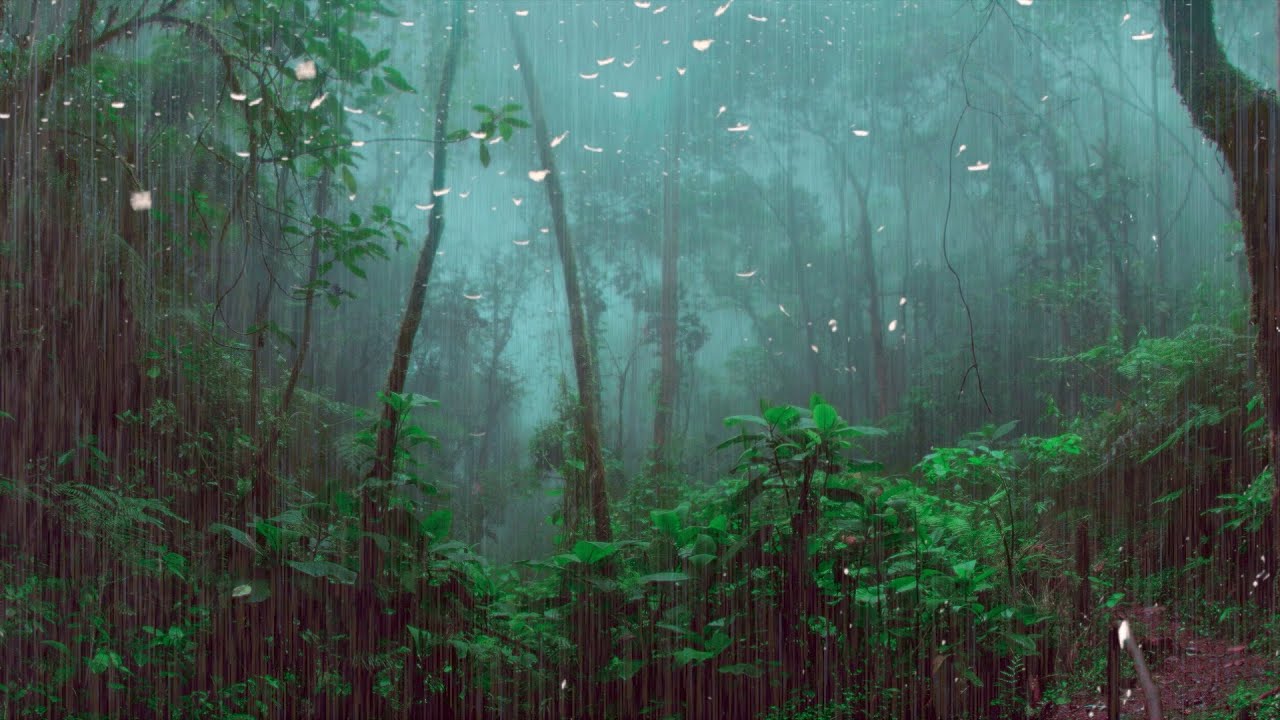 Spring Surreal Forest Ambience/ Rain/ Nature Sounds/ Focus/Sleep/ 8 Hours YouTube