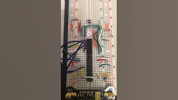 4 Bit Counter 4:7 Decoder and 7-segment display - Maxwell Fleming