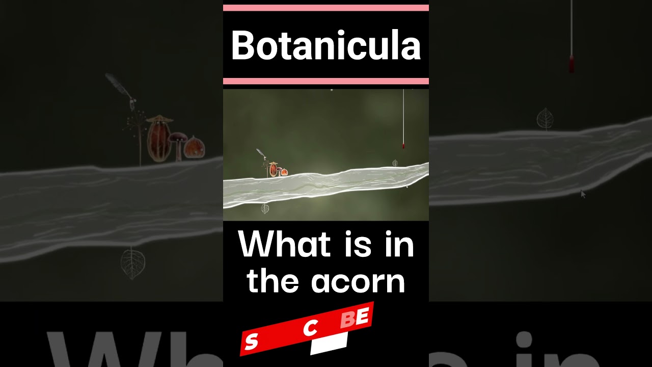 Botanicula - This is in the ACORN!?! 