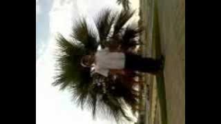 Lagu lampung nyepok janda