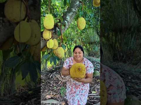 ১০ টি ফলের নাম। Top 10 Fruits funny video #shorts #trending #fruit #funny #viral #shortvideo thumbnail