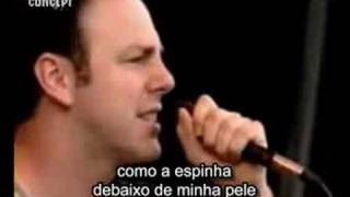 Bad religion - generator (legendado portugues) chords