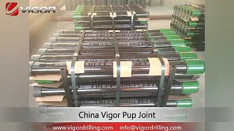 China Vigor Pup Joint