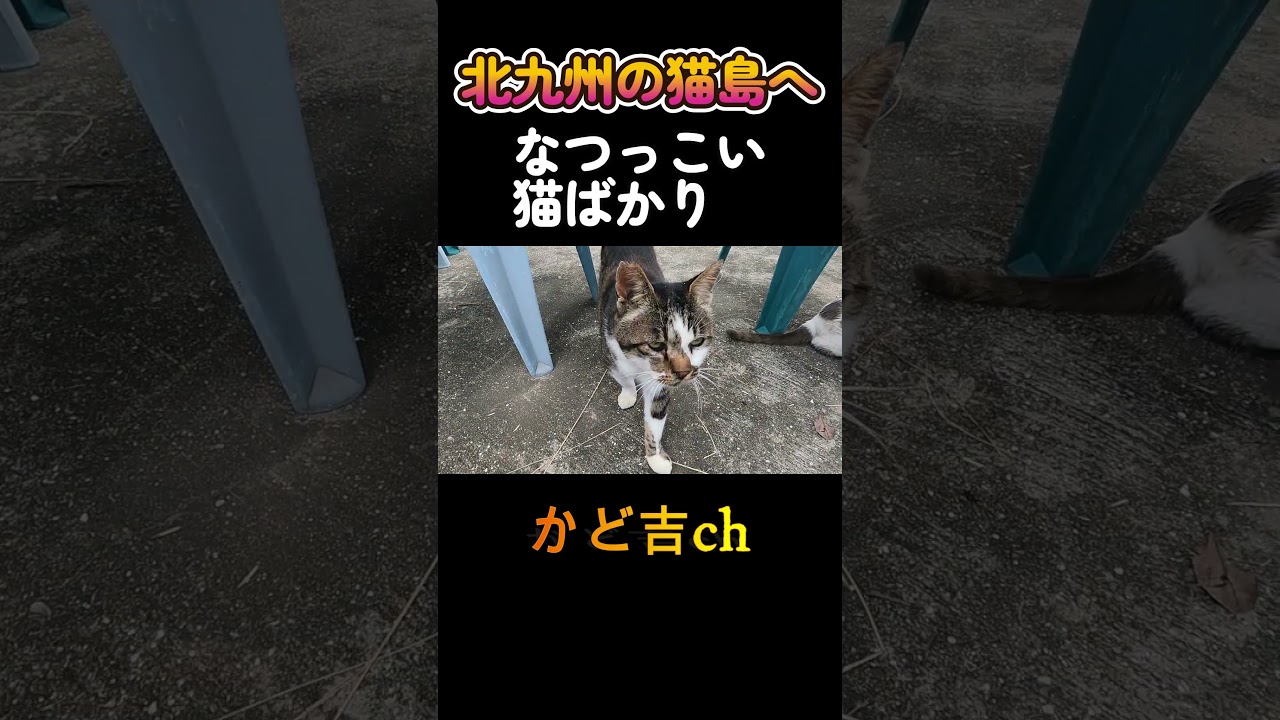 北九州の離島【藍島】