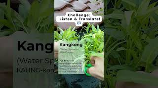 Learn Cebuano/Bisaya Fast! Kangkong Water Spinach 🇵🇭 #learncebuano #philippineslanguage #bisaya