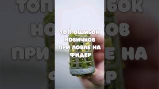 Ошибки новичков при ловле на фидер #рыбалка #фидер #советы