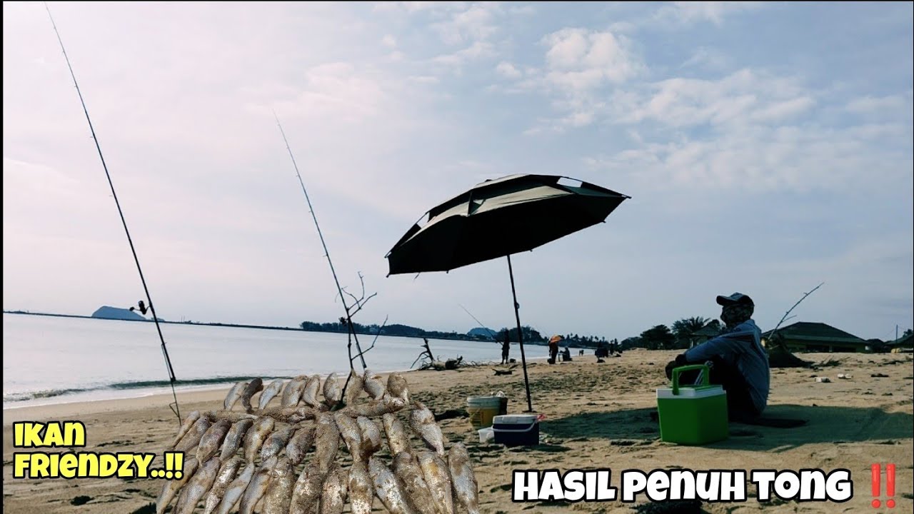Surfcasting pantai | Letak makan letak makan‼️Meriah mancing ikan gelama tepi pantai.