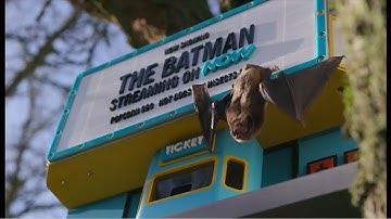 Save the bats (species now endangered) (UK)