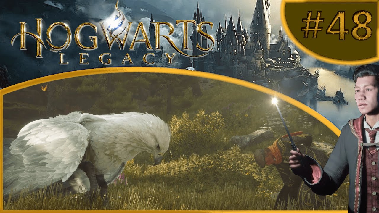 Hogwarts Legacy Part 48 😸 Viele süße Tiere 😸 YouTube