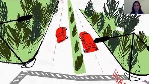 3-29-18 Webinar: Inclusivity & Intersectionality in the Pro-Democracy Movement (TWO)