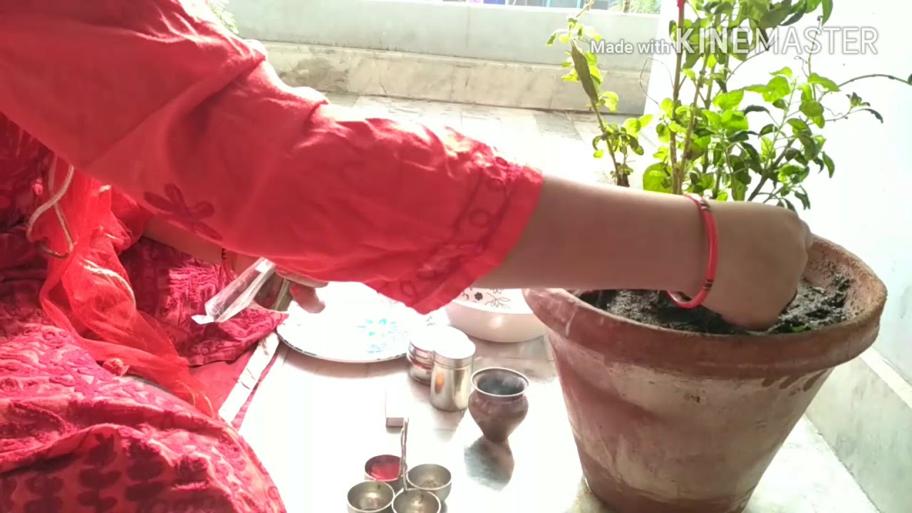 त लस प ज त लस व द ई प ज Tulsi Pooja At My Home Amita Ki Kitchen Se Youtube