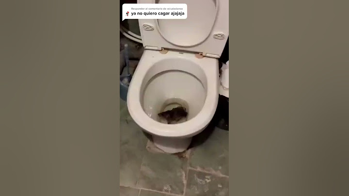 Cómo entra la rata a un baño 🤯🤯  #shorts