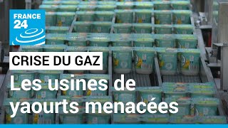 France : sans gaz, les usines de yaourts craignent l'arrêt de la production • FRANCE 24