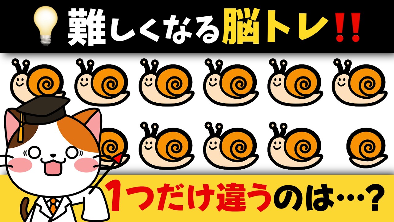 Brain Training] Challenge Yourself with Rainy Season Trivia! A