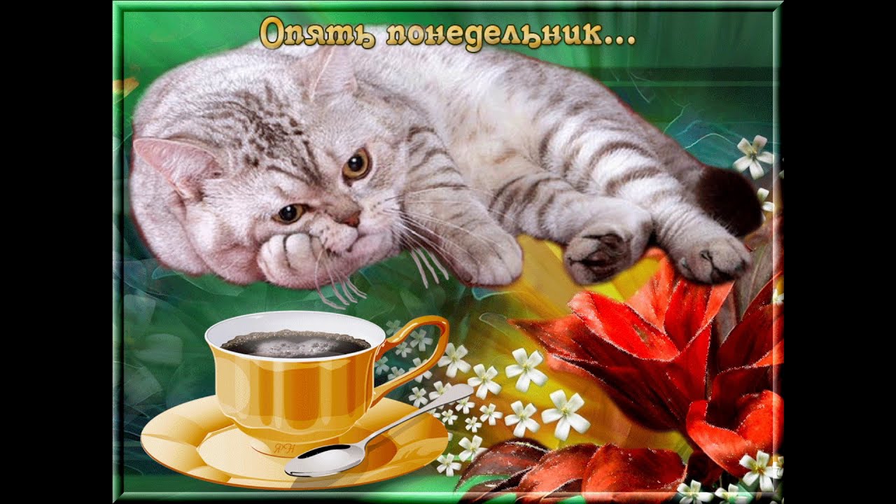 Фото С Животными С Пожеланиями Доброго Утра