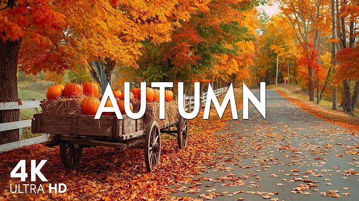 Enchanting Autumn Forests With Beautiful Piano Music 🍂4k Autumn Ambience & Fall Foliage, Fall Scenes
