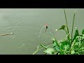 Best Fishing Video (Part~53)