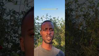 Too Much Lyrics (prodbyCPKshawn) | Dembow 2026