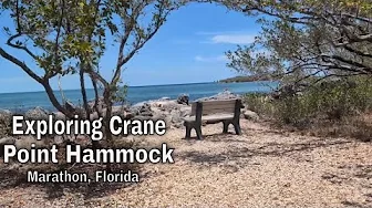 Florida Keys: What is Crane Point Hammock?