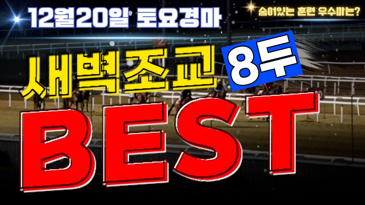 [굽소리경마] 혼전도 더욱 높아진 12월3주차 경마주간!! 걸음변화 보인 훈련우수마 8두!!#새벽조교#과천경마장#조교우수마#굽소리경마