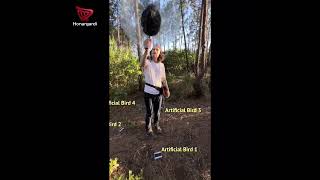 Alexey Seliverstov Composer And Experimental Artist