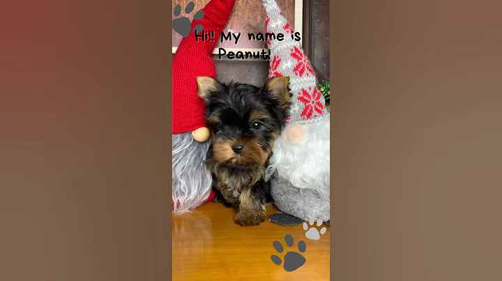 ea57619364314638b0f7fd0e6ea0a402