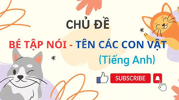 Baby learn the names of animals - Glenn Doman Flash Cards| P1