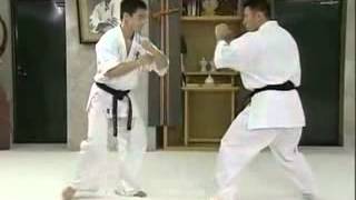 Using Gedan Mawashi Geri (low roundhouse kick) for Takedowns - Matsui Kancho