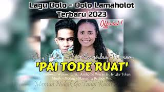 Lagu Dolo Lamaholot Terbaru 2023  Pai Tode Ruat  Jhoy Wtc Ft Alexandra Wuran