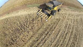 Corn Harvest - Beja, Portugal