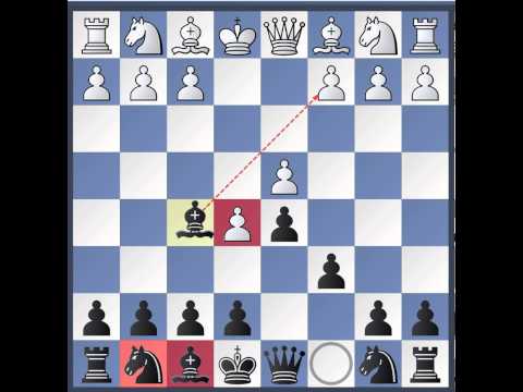 Видео: Шахматы Каро - Канн для  2 - 3 разряда
