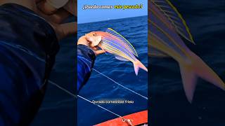 ¿Puedo comer este pescado?