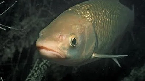 ''Prismatic Haze'' 100% (Extreme Demon) by Cirtrax and Gizbro | Geometry Dash [2.11]